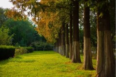 岳麓區建設網站需要注意哪些？